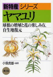 球根 ウコンの人気商品 通販 価格比較 価格 Com